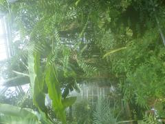 De Plantage Hortus Botanicus Amsterdam