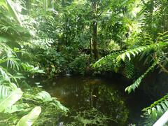 De Plantage Hortus Botanicus Amsterdam August 6 2019