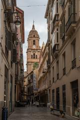 Málaga Cathedral Iglesia Catedral de la Encarnación