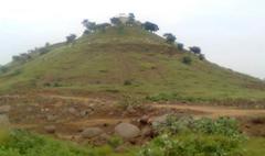 Peer Baba ki Dargah in lush greenery