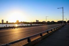 Harvard bridge during sunset