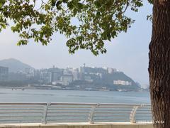 Ma On Shan Promenade Waterfront at Ning Tai Road, January 2023