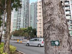 Ma On Shan Promenade Waterfront Ning Tai Road in January 2023