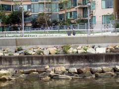 Ma On Shan Promenade elevated seawall with new and old jetties