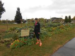 Urban farm in Grant Park with various vegetables, herbs, and flowers