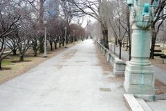 aerial view of Grant Park in Chicago with city skyline