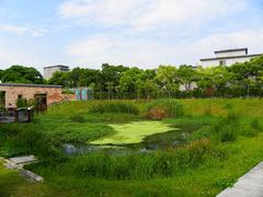 Wetlands in Taipei Art Park