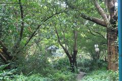 A pavilion under tree shade at Lotus Hill Park, Shenzhen