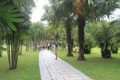 A shady path in Lotus Hill Park