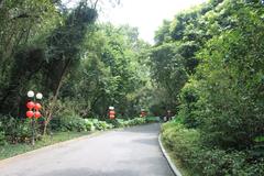 a shady path in Lotus Hill Park with lush greenery