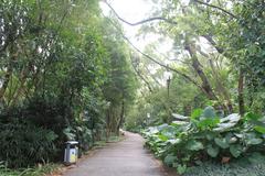 A shady path in Lotus Hill Park