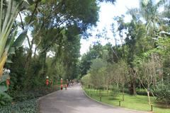 A shady path in Lotus Hill Park