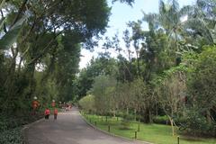 shady path in Lotus Hill Park