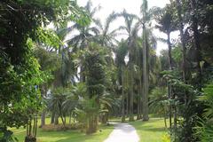 A shady path in Lotus Hill Park