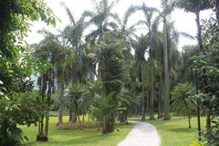 A shady path in Lotus Hill Park