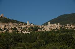 Aerial view of Assisi with historic buildings and a hilly landscape