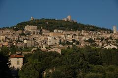 a panoramic view of Assisi with historic buildings and lush greenery