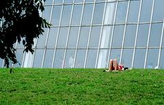 Women sunbathing in Central Park near the Metropolitan Museum of Art