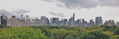 NYC skyline from the Metropolitan Museum roof