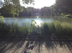 Central Park in New York City with trees, pathways, and skyline in the background