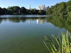 Central Park in New York City