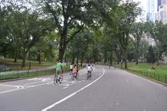 Panoramic view of Central Park, New York City