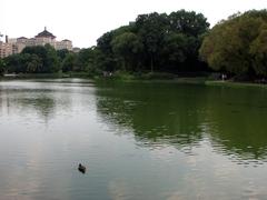 Central Park in autumn with vibrant foliage, a clear pond, and New York City skyline in the background