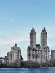 Central Park in winter