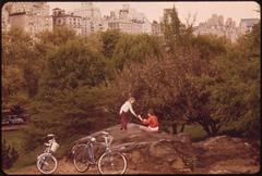 Bicyclists in Central Park on a Sunday