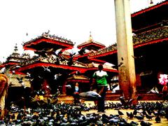 Durbar Square pigeons