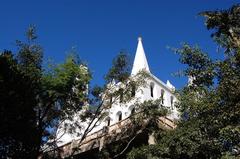 Solomon's Temple between the trees