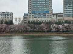 Seokchon Lake Park on March 25, 2023