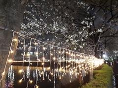 Scenic view of Seokchon Lake