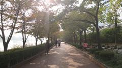 Seokchon Lake Park with buildings in the background