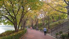 Scenic path in Seokchon Lake Park