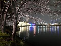 Scenic view of Seokchon Lake with surrounding buildings