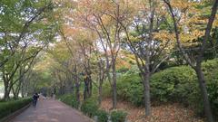 Seokchon Lake Park path