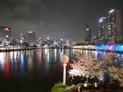 Seokchon Lake with surrounding cityscape and clear blue sky