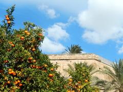 view of Palma de Mallorca