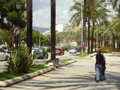 Palma de Mallorca skyline with cathedral and waterfront, Summer 2008