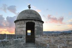 Seagull on top of Sant Peter bastion