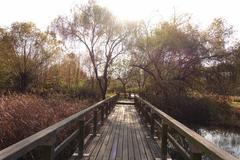 Yeouido Saetgang Ecological Park in Seoul, South Korea