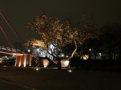 Frankfurt city skyline on 18th November 2012