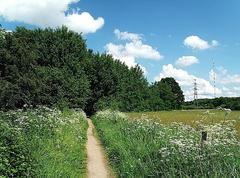 Stellmoorer Tunneltal nature reserve in Hamburg