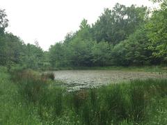 Hamburg Wildlife Sanctuary Hoeltigbaum great tarn