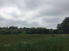 Wildlife Sanctuary Hoeltigbaum meadow in Hamburg