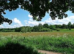 Stellmoorer Tunneltal Nature Reserve in Hamburg