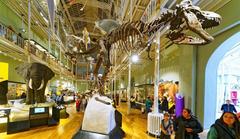 Scottish National Museum main hall interior