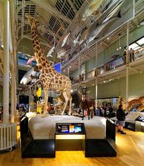 Scottish National Museum interior