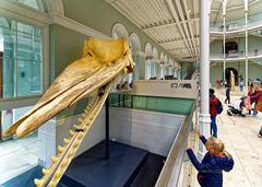 Scottish National Museum in Edinburgh